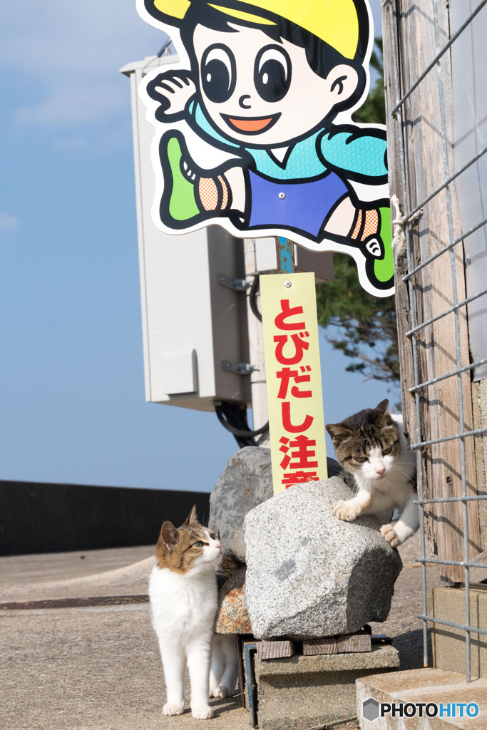 とびだし注意