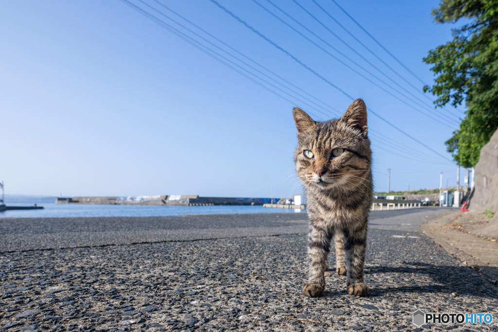 おはよう、むーちゃん