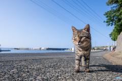 おはよう、むーちゃん
