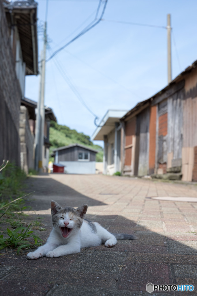 あくびちゃん