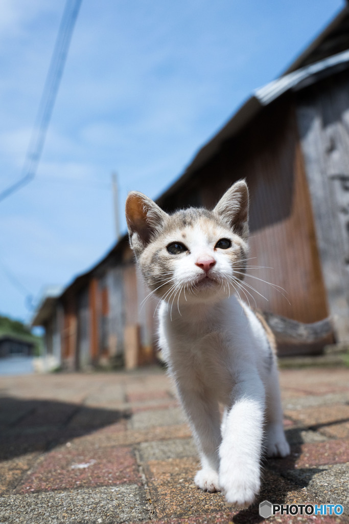 胸張っていこ～