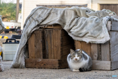 おじさん、あっち行けよ～