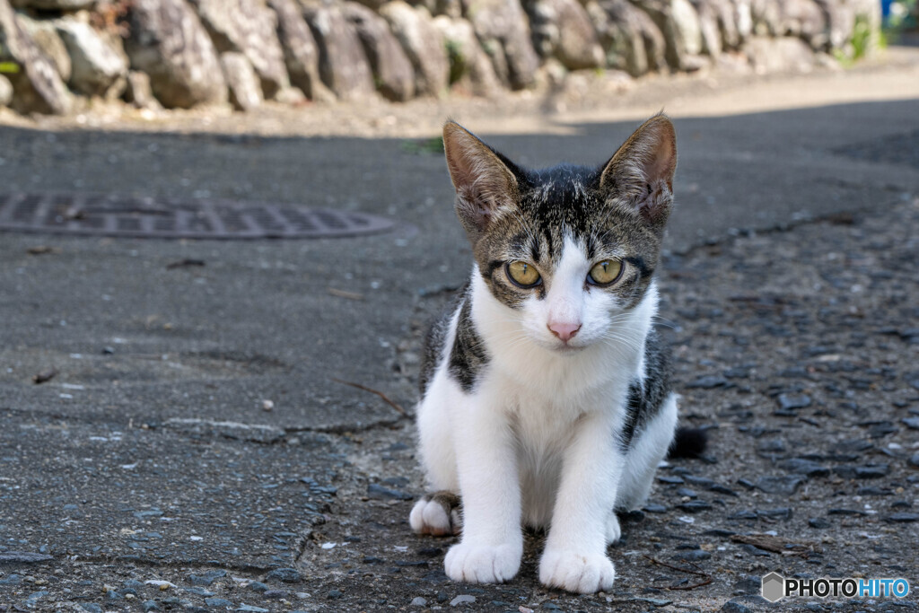 じろり