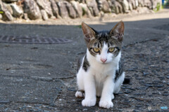じろり