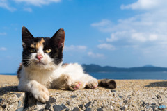 そろそろ行こうか