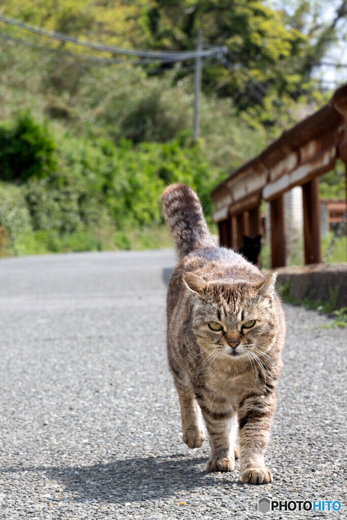 懐かしい子と再会