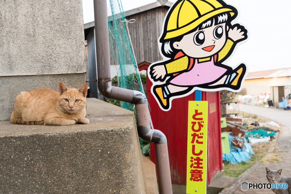 見守っているから