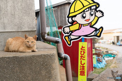見守っているから