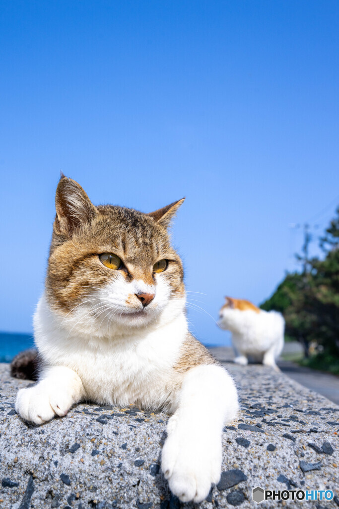 俺の居場所