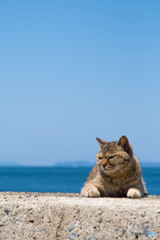 爽やか5月