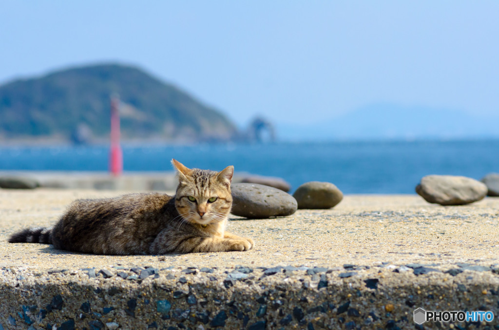 いい心地だね