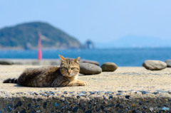 いい心地だね