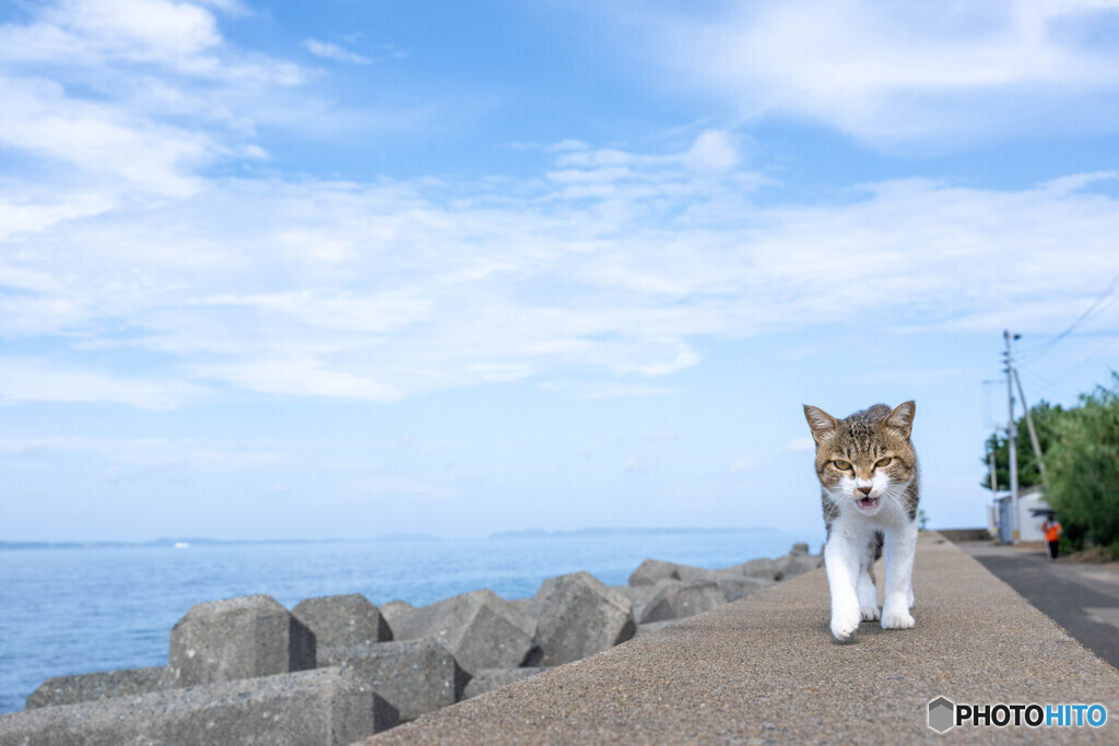 おじさん、待って～～