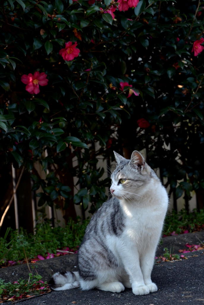 DSC_2920