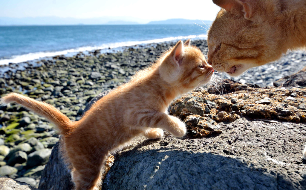 パパとチュー♡