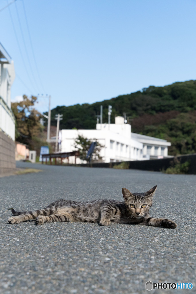 道路の真ん中で寛いではいけません