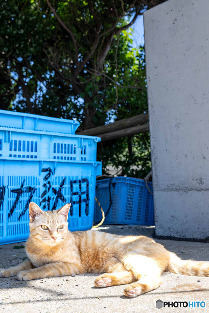 朝のひと時