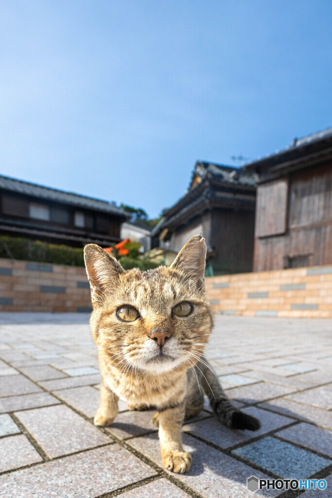 おおっ！