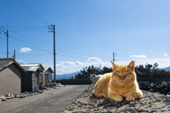 おくつろぎ