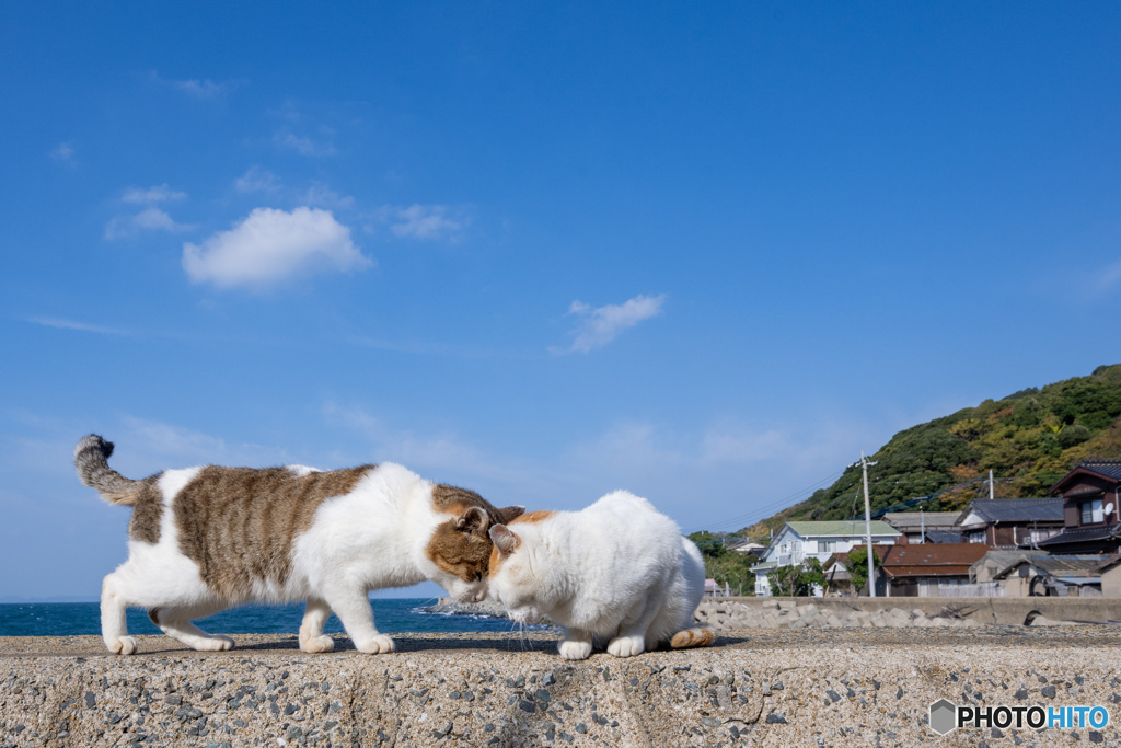 ごつっ