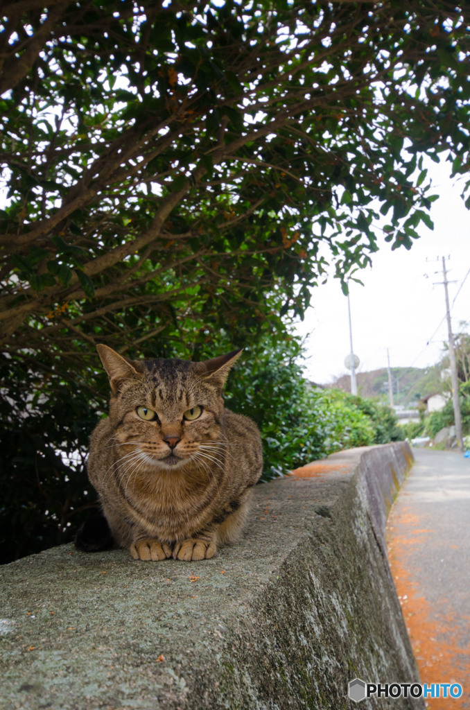 大沢くん。(´∀｀*)