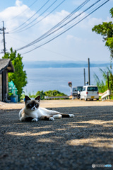 のんびりとね。日影でね。