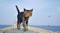 (*^-^*)ノ~~マタネー (*^-^*)ノ~~マタネー