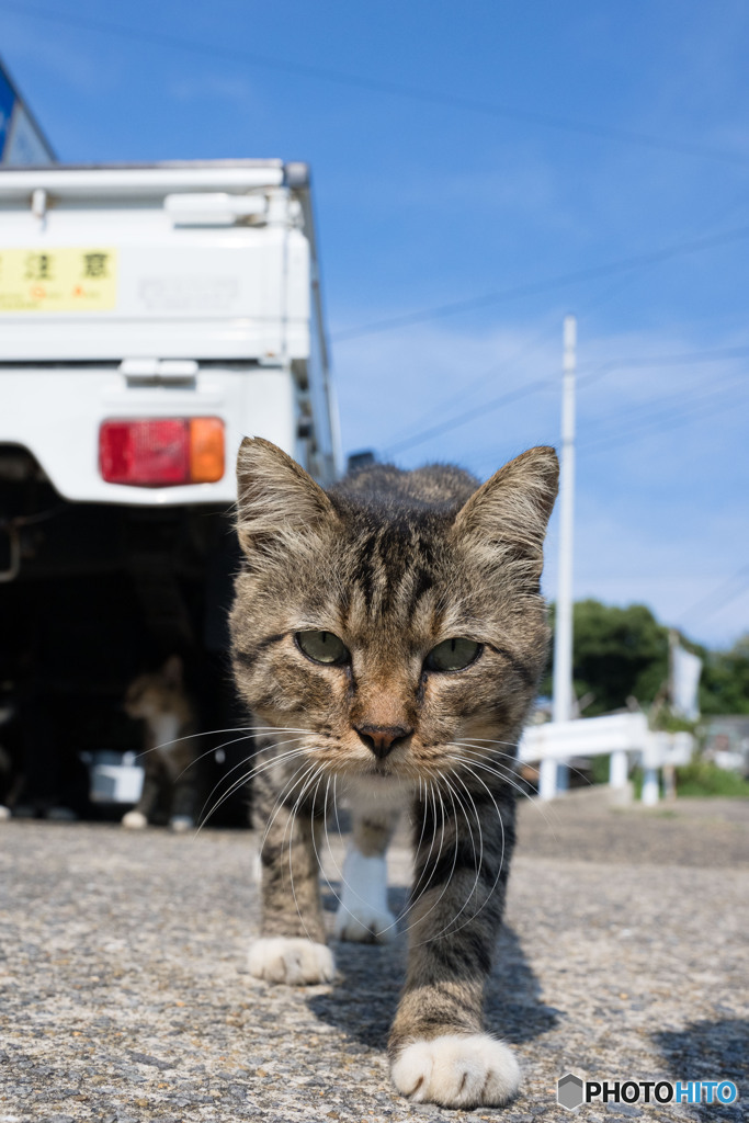 ずいっとね