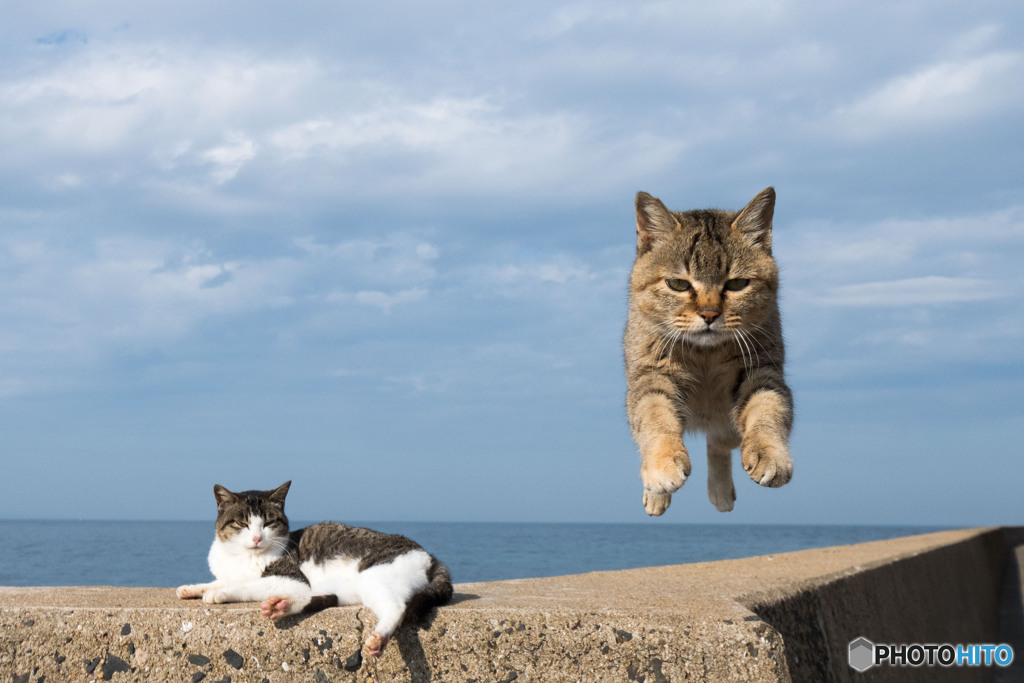 やぁっ