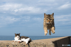 やぁっ
