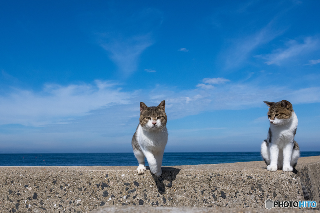 ひらりとね。9月の空。（2）