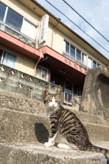 こんにちはo(^･x･^)o