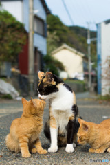 しあわせ家族