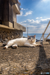 眠たくなる冬の午後