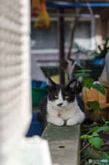 じーーーーーーーーー