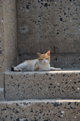 暑いわねぇ～～