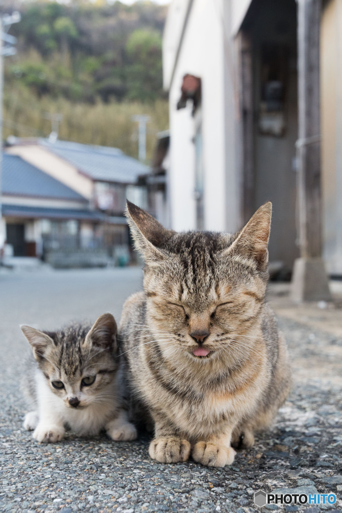 お母ちゃんと