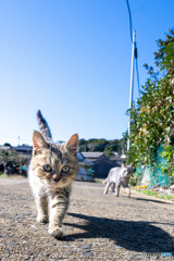 待て待ておじさん