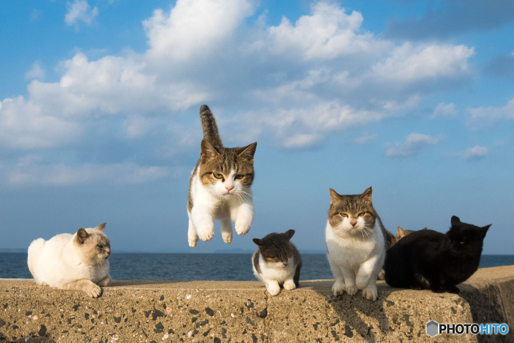 ぽっちゃり隊員がゴー
