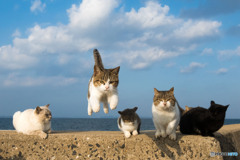 ぽっちゃり隊員がゴー