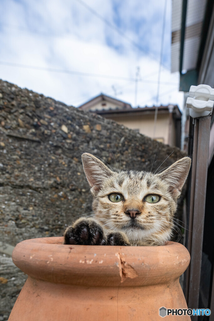 ツボにはまる