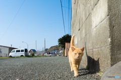 元気に朝パト 元気に朝パト