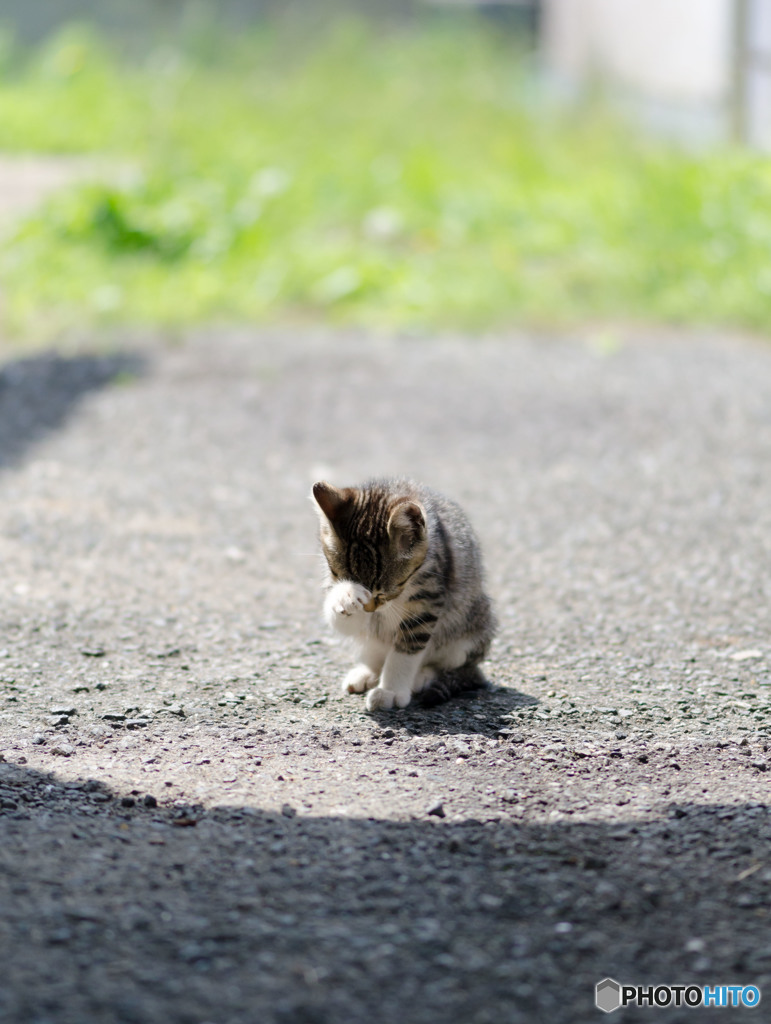 くぅ～～～ﾟ(ﾟ´Д｀ﾟ)ﾟ