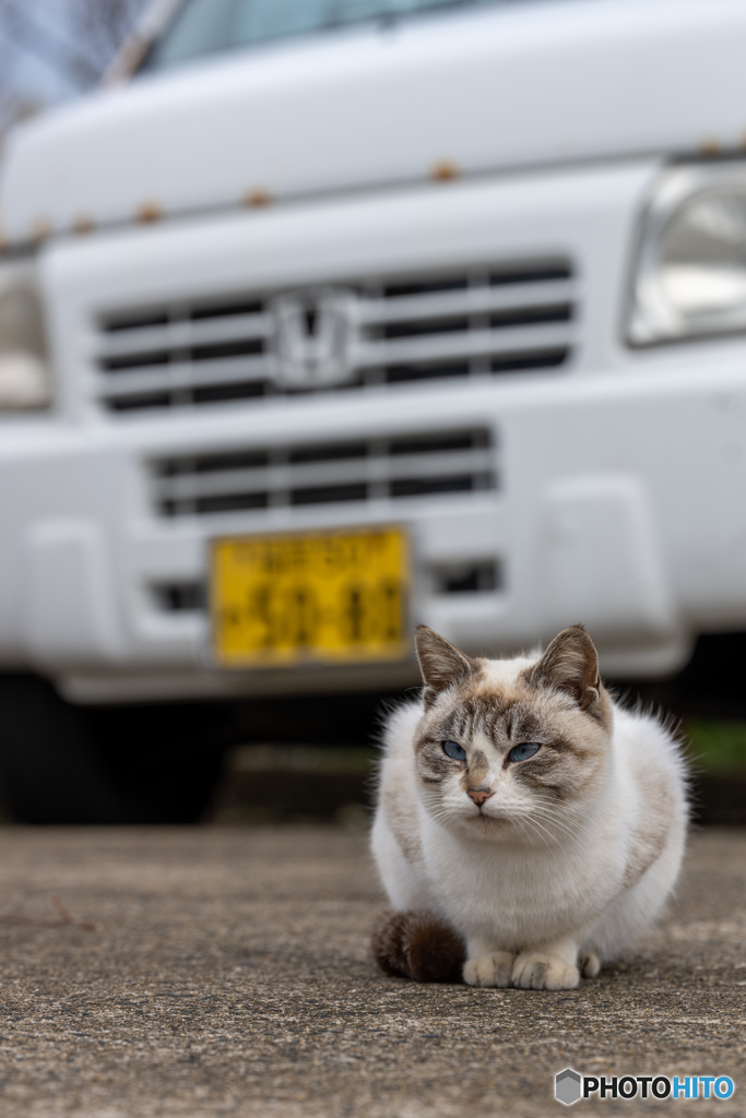 ホンダの軽