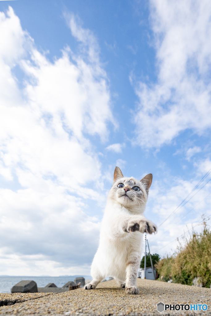 俺の空