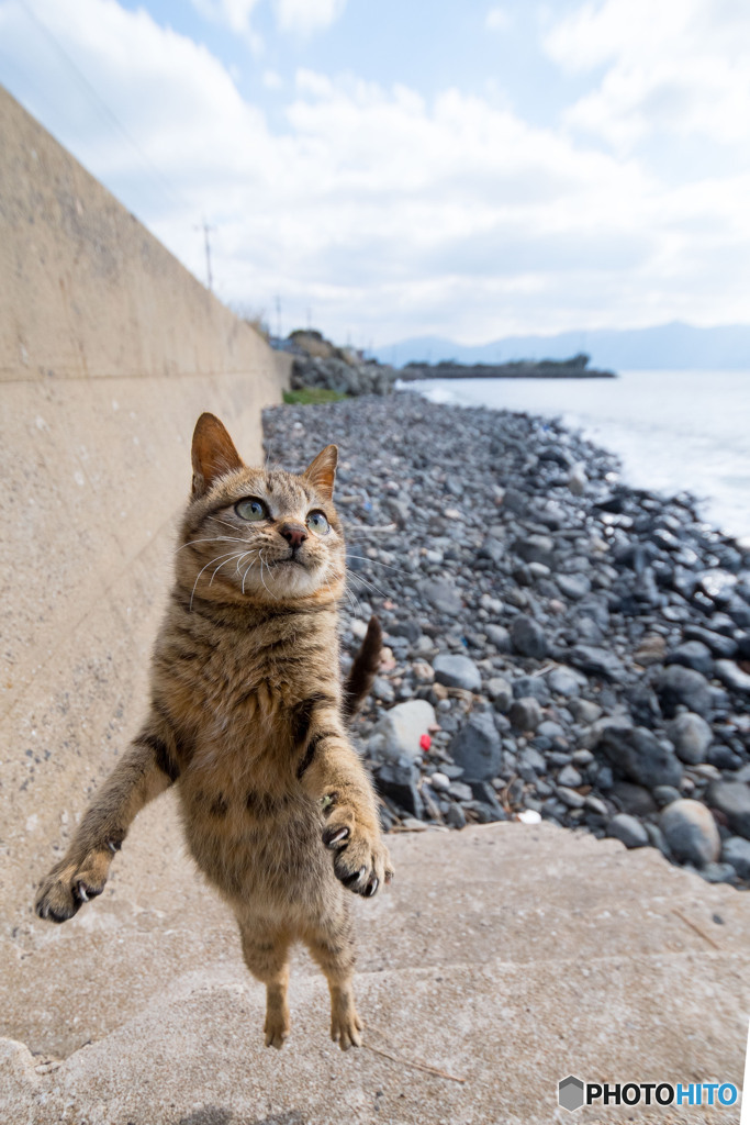 ふわっと浮かぶよ