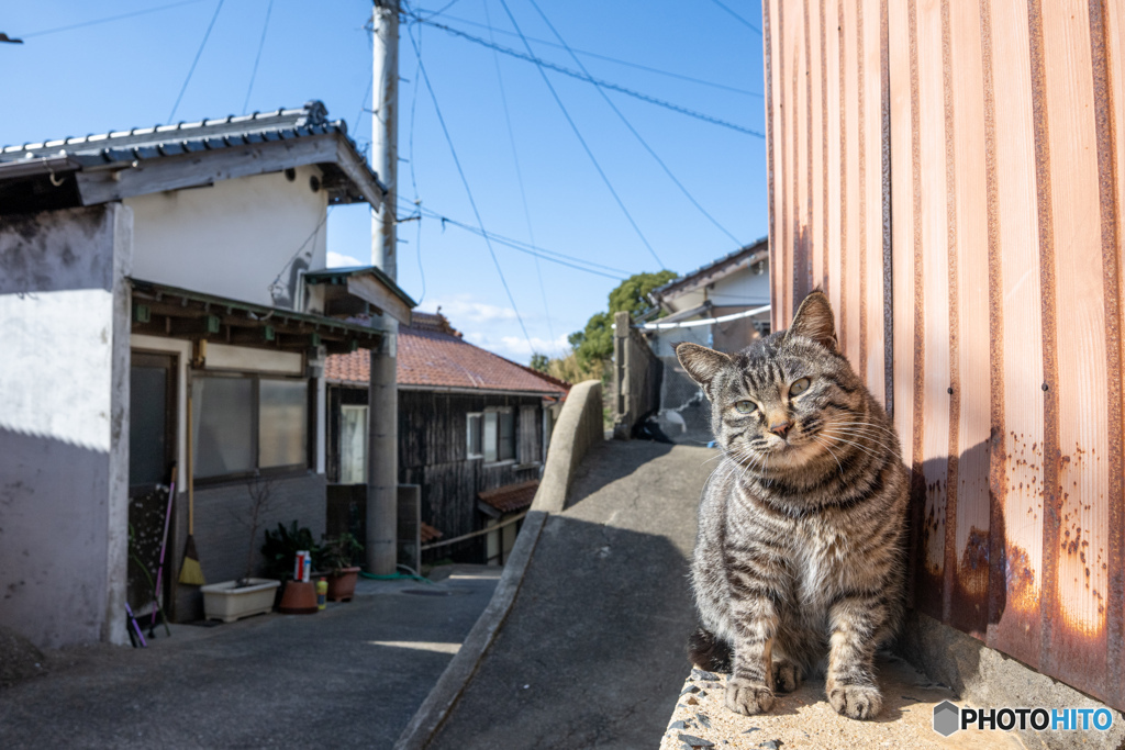 かわいいおじさん