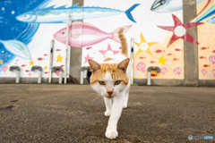 お魚いっぱい獲れますように
