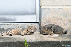 くつろぎ