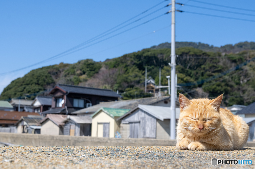 いい心地